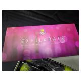 Zumba Fitness Exhilarate Body Shaping System