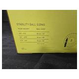26" Weighted Stability Ball