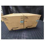 75W LED Daylight Light Bulbs 2 - 6pks