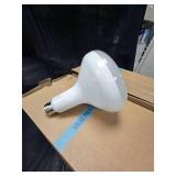 75W Replacement Light Bulbs Daylight two 6Pks