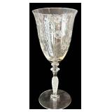 DR - Vintage Fostoria Arcady Etched Floral Glassware - 5 Goblets, 11 Champagne Coupes, 12 Plates, 7 1/4 in tall