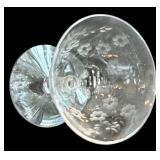 DR - Vintage Fostoria Arcady Etched Floral Glassware - 5 Goblets, 11 Champagne Coupes, 12 Plates, 7 1/4 in tall