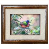 LR - Pat Gerlach Bird Print - Colorful Rainbow Bird on Branch