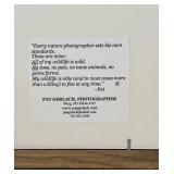 LR - Pat Gerlach Bird Print - Colorful Rainbow Bird on Branch