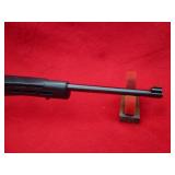 Ruger 10/22 22LR Rifle