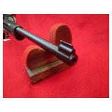 Ruger 10/22 22LR Rifle