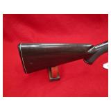 Remington Arms Nylon 66 22LR Rifle