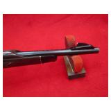 Remington Arms Nylon 66 22LR Rifle