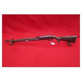 Remington Arms Nylon 66 22LR Rifle