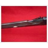 Remington Arms Nylon 66 22LR Rifle