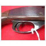 Remington Arms Nylon 66 22LR Rifle