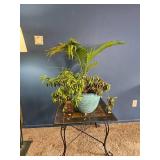 Mixed Indoor Planter ? Areca Palm