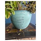 Mixed Indoor Planter ? Areca Palm