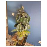 Mixed Indoor Planter ? Rubber Plant
