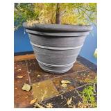 Mixed Indoor Planter ? Rubber Plant