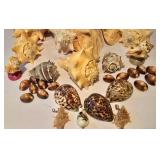 LL-FR - Coastal Seashells & River Rocks Lot - Pink Conch, 7-Inch Bowl + Marble Accents