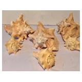 LL-FR - Coastal Seashells & River Rocks Lot - Pink Conch, 7-Inch Bowl + Marble Accents