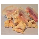 LL-FR - Coastal Seashells & River Rocks Lot - Pink Conch, 7-Inch Bowl + Marble Accents