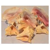 LL-FR - Coastal Seashells & River Rocks Lot - Pink Conch, 7-Inch Bowl + Marble Accents