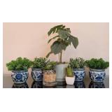 K - Artificial Potted Foliage Assortment - 6 Faux Plants in Ceramic Pots