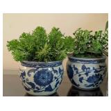 K - Artificial Potted Foliage Assortment - 6 Faux Plants in Ceramic Pots