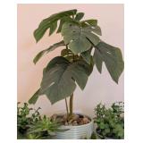 K - Artificial Potted Foliage Assortment - 6 Faux Plants in Ceramic Pots