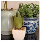 K - Artificial Potted Foliage Assortment - 6 Faux Plants in Ceramic Pots