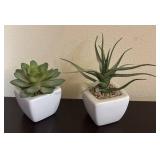 LR - Succulents and Cactus Bowl Arrangement with Pink & White Rosettes