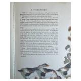 Mother Goose Volland Edition Illustrated Hardcover Book