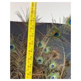 Large Arrangement of Peacock Feathers in Vintage Leather Fire Bucket Vase