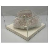 Misc. Vintage Oriental Collectibles Including Cup And Saucer In Protective Acrylic Case