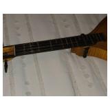 Cittern by Dieter Mockel with Case