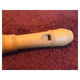 Tropical Box Wood Alto Recorder by Fehr