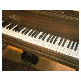 Piano by Raudenbush & Sons (St. Paul MN) with Piano Bench