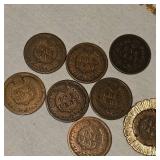 8 Indian Head Pennies, One in Very Nice Gold Necklace
