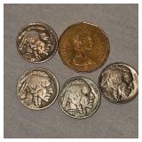 1988 Canadian Loonie , Buffalo Nickels
