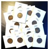 (19) Common Date Circulated Indian Cents