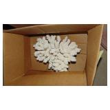 Few Boxes of Sea Shells