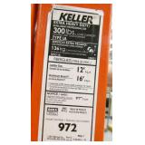 12 ft ladder - looks like new