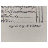 "March" From the Twelve Months of Fruits by Robert Furber