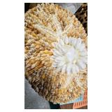 Box of Variou Storage Boxes as Shown