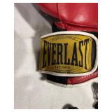 Everlast Boxing Gloves & Hand Grips
