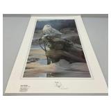 Unframed Mario Fernandez "Sea Maden" Snow Owl Print  19" x 29 1/2" 105/475