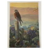 Unframed Mario Fernandez "The Vines Of Los Olivos" HawkPrint  19" x 27 1/2" " 105/475