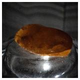 Amber with Insect Inclusion - 60ct