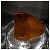 Amber with Insect Inclusion - 60ct