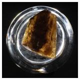 74ct Amber With Insect Inclusion - 35x45x16 mm