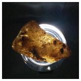 Amber with Insect - 146 ct Natural Amber Specimen
