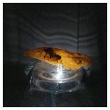 Amber with Insect - 146 ct Natural Amber Specimen