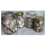 Large Assortment of Seashells